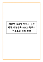2025년 글로벌 에너지 전환 시대, 대한민국 RE100 정책의 현주소와 미래 전략-1
