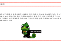 [ 사업계획서 ) ‘Carmeleon’사업 계획서 ]-2