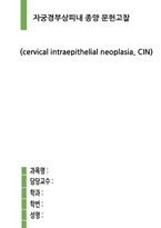 자궁경부상피내종양 문헌고찰-1