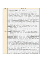 자궁경부상피내종양 문헌고찰-2