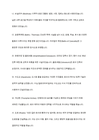 로마시대의 고대 건축양식-8