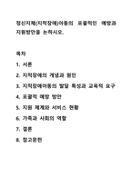 정신지체(지적장애)아동의 포괄적인 예방과 지원방안을 논하시오.-1