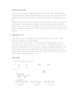 “가족 분석 보고서” - 가계도 작성법과 가계도 면접법을 바탕으로 자신의 가족 관계를 분석한다-2