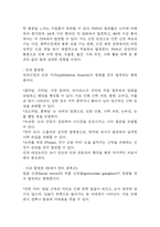 [대상포진 문헌고찰 및 간호 케이스] 대상포진 병태생리,원인,증상,치료법 연구 / 대상포진 간호목표,간호계획,간호중재,간호평가-13
