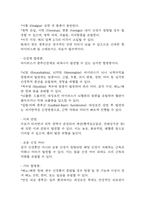 [대상포진 문헌고찰 및 간호 케이스] 대상포진 병태생리,원인,증상,치료법 연구 / 대상포진 간호목표,간호계획,간호중재,간호평가-14