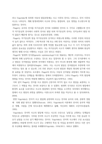 유아언어교육 ) 1 언어와 사고의 관계에 대한 Piaget와 Vygotsky의 관점을 비교하여 논하시오 2 유아의 혼잣말이 언어발달에 시사하는 바를 논하시오-3