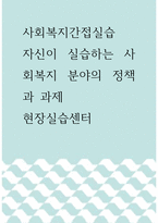 사회복지간접실습 ) 자신이 실습하는 사회복지 분야의 정책과 과제-1
