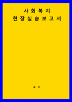 사회복지실습 ) 사회복지 현장실습보고서-1