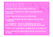 인터넷 배너광고 발표A+ 과제제출-2