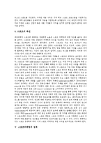 [스포츠마케팅] 스포츠마케팅의 개념, 특성, 발전, 성격과 스포츠마케팅의 장점, 효과와 스포츠마케팅 사례를 통해 본 향후 시사점 분석-8