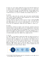 [경영전략] 두산 인프라코어의 SWOT분석과 해외진출전략-3