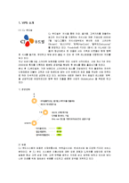 [마케팅] CJ푸드빌 빕스(VIPS)의 마케팅전략과 성공요인-1