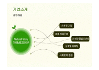 [마케팅] 더페이스샵(THE FACE SHOP)의 마케팅전략 성공사례-6