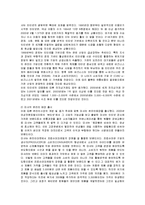 [경영전략] 미샤의 성공, 실패요인분석과 새로운 대안-4