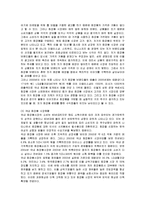 [경영전략] 미샤의 성공, 실패요인분석과 새로운 대안-9