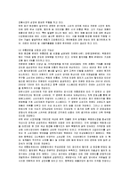 [경영전략] 미샤의 성공, 실패요인분석과 새로운 대안-11