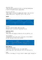 수직 통합 전략에 대해 요약정리-3