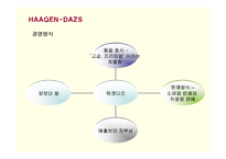 [마케팅] 프리미엄 아이스크림 하겐다즈의 마케팅과 새로운 전략-6