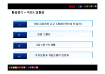 [마케팅] 신한은행의 마케팅전략 성공사례-11