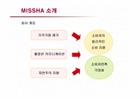 [마케팅] 저가화장품 미샤의 마케팅전략과 개선방안-4