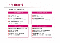 [마케팅] 저가화장품 미샤의 마케팅전략과 개선방안-12