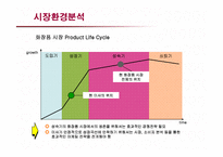 [마케팅] 저가화장품 미샤의 마케팅전략과 개선방안-13