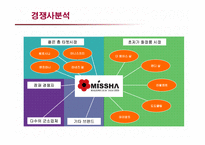 [마케팅] 저가화장품 미샤의 마케팅전략과 개선방안-15