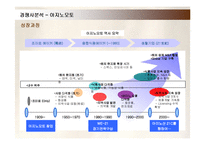 [경영전략] 대상그룹의 인도네시아 진출전략 성공사례-20