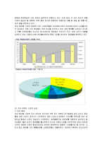 [마케팅] 더페이스샵의 마케팅전략과 해외진출 성공사례-3