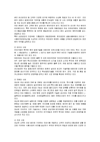 [경영전략] 대상그룹의 인도네시아 진출전략-3