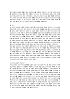 [경영전략] 대상그룹의 인도네시아 진출전략-11
