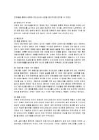 [경영전략] 대상그룹의 인도네시아 진출전략-16