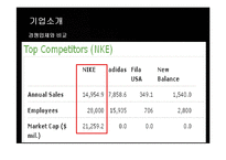 [경영전략] 나이키(NIKE)의 마케팅 및 경영전략 성공사례-10