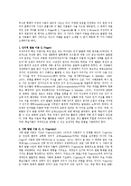 [교육학] 구성주의 학습 이론(인지이론, 발달이론 등)-3