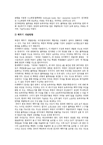 [북한핵문제, 북핵문제] 북한핵문제의 배경, 성격과 북한핵문제의 실태, 전개 및 북한핵문제에 따른 한국의 대북정책, 대미정책 방향 분석-9