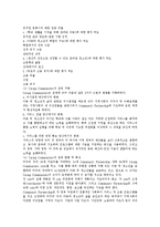 [청소년복지] 청소년복지의 의의, 특성과 외국의 청소년복지체계 사례 및 향후 청소년복지 대책과 방향 분석-12