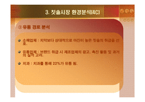 [경영학] 칫솔시장 마케팅분석-10