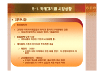 [경영학] 칫솔시장 마케팅분석-14