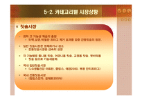 [경영학] 칫솔시장 마케팅분석-15