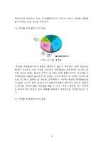 [국제결혼] 국제결혼가정의 긍정, 부정적 측면과 사례연구-9