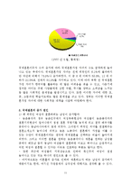 [국제결혼] 국제결혼가정의 긍정, 부정적 측면과 사례연구-11