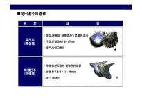 [진주에 대한 이해 & 명품 미키모토 Story] 진주에 대한 이해 & 명품 미키모토 Story-6