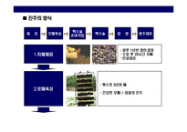 [진주에 대한 이해 & 명품 미키모토 Story] 진주에 대한 이해 & 명품 미키모토 Story-8