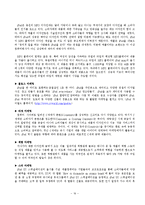 [마케팅] 아이팟(IPOD) 마케팅분석<담당자인터뷰포함>-16