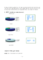 [마케팅] 아이팟(IPOD) 마케팅분석<담당자인터뷰포함>-19