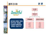 [경영학, 관광경영, 컨벤션, CVB, 컨벤션뷰로] 컨벤션뷰로(CVB)-14