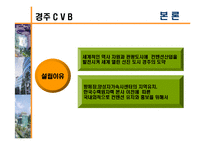 [경영학, 관광경영, 컨벤션, CVB, 컨벤션뷰로] 컨벤션뷰로(CVB)-15