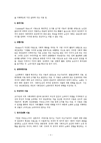 [사회복지] 노년기에 대한 이론적 논의fp-3