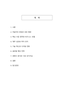 야놀자 기업분석_국내 여행업계의 혁신적 도약과 글로벌 성장 전략 분석-2