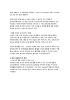 야놀자 기업분석_국내 여행업계의 혁신적 도약과 글로벌 성장 전략 분석-6